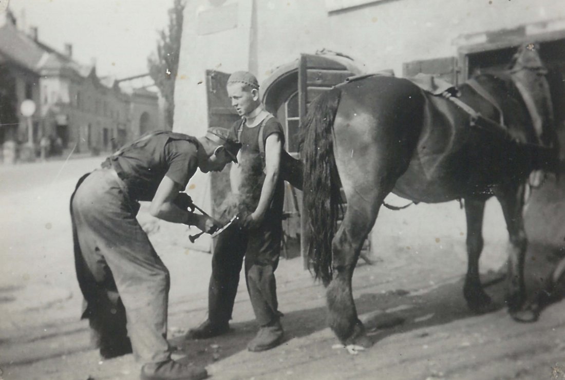 Polte Pernlochner mit Pferd